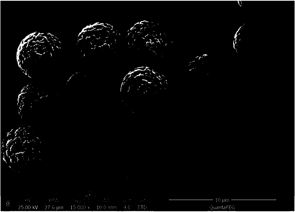 Preparation method of monodisperse agarose superparamagnetic micro-sphere