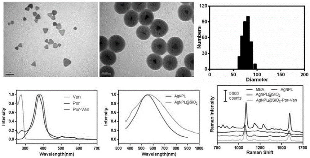 Composite nanometer antibacterial material used for treating vancomycin drug resistant pathogenic bacteria