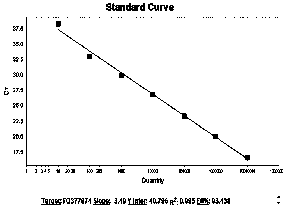 Triple fluorescent quantitative PCR primer and probe for detecting three sheep pathogenic mycoplasmas