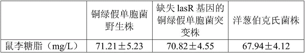 Biological preparation method of fermentation medium and rhamnolipid