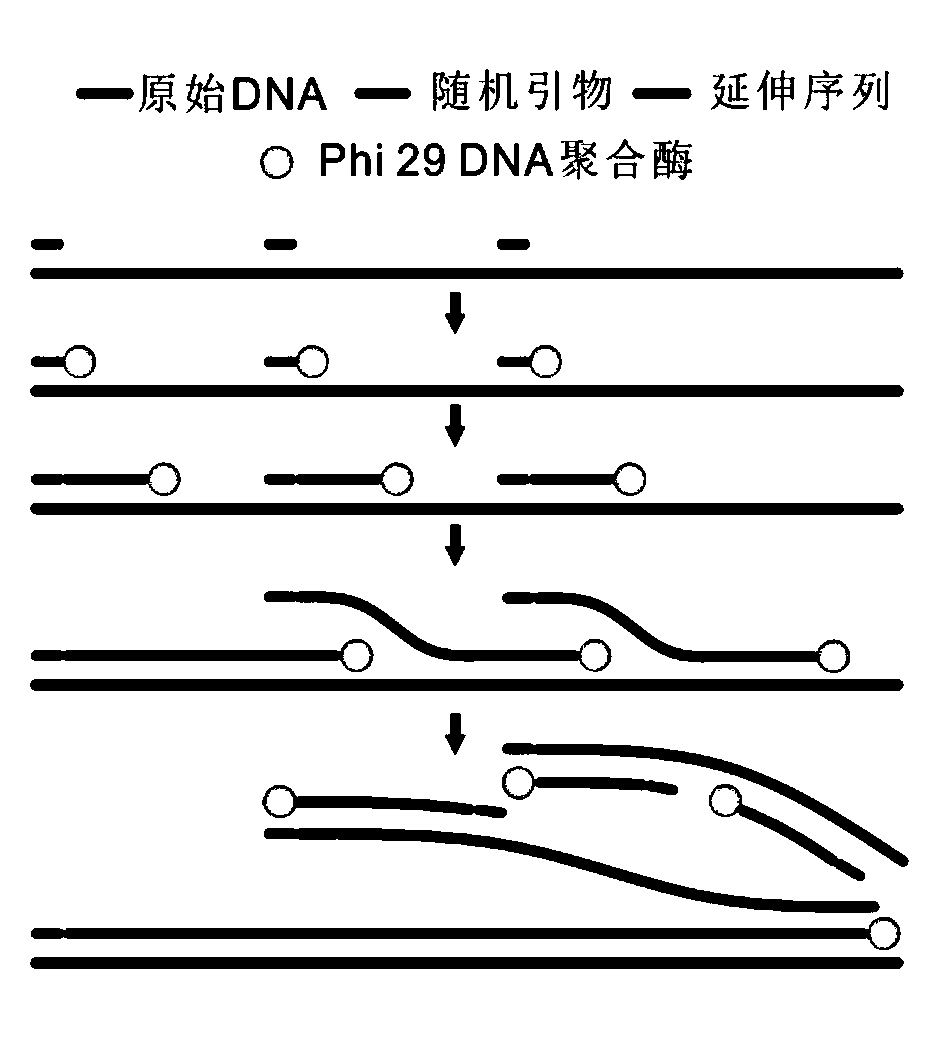 Chromosome aneuploidy detection system suitable for single cells and application