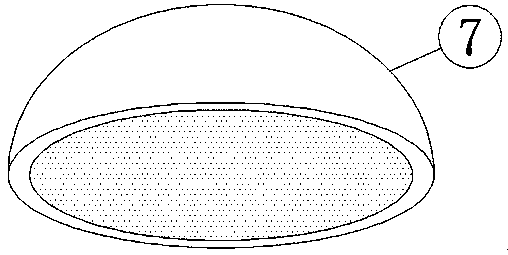 Special grinding device for spherical object