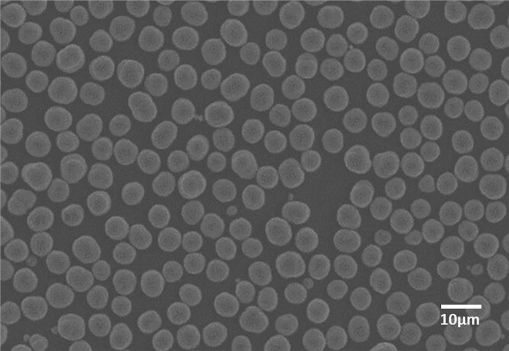 Cobalt-free lithium-rich positive electrode material as well as preparation method and application thereof