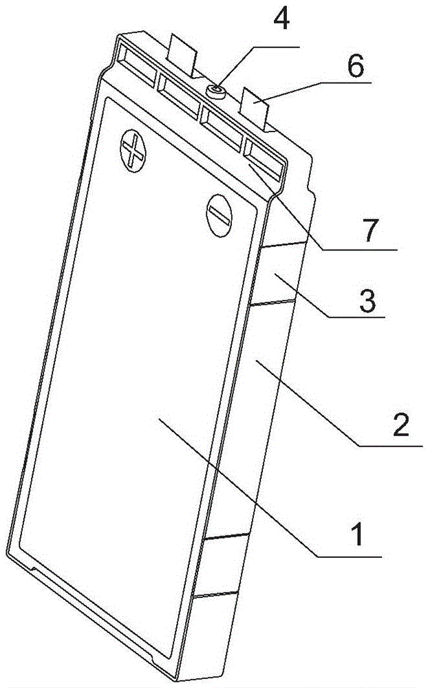 Soft package battery cell module and fabrication method thereof