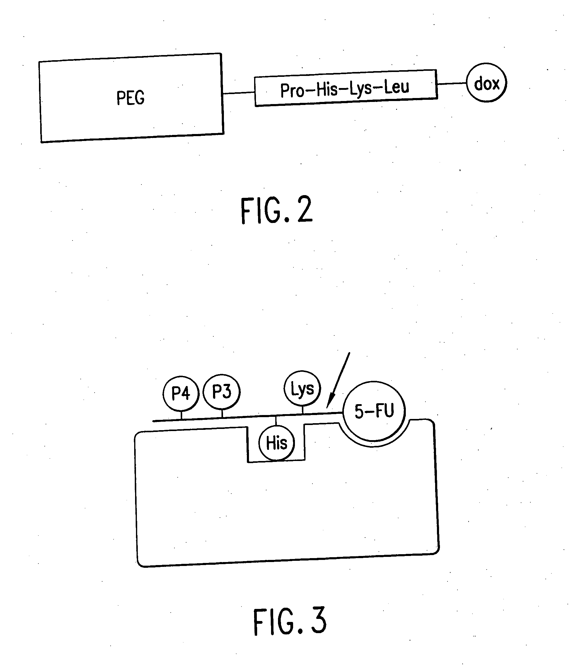 Targeted enzymes