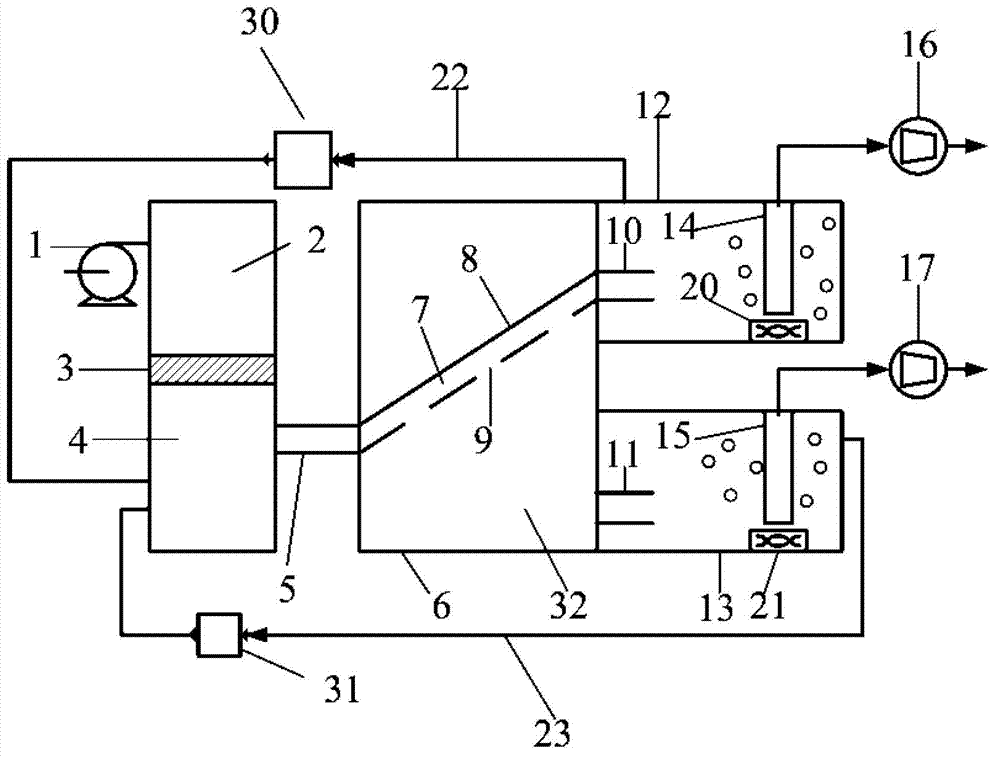 Food waste separating apparatus