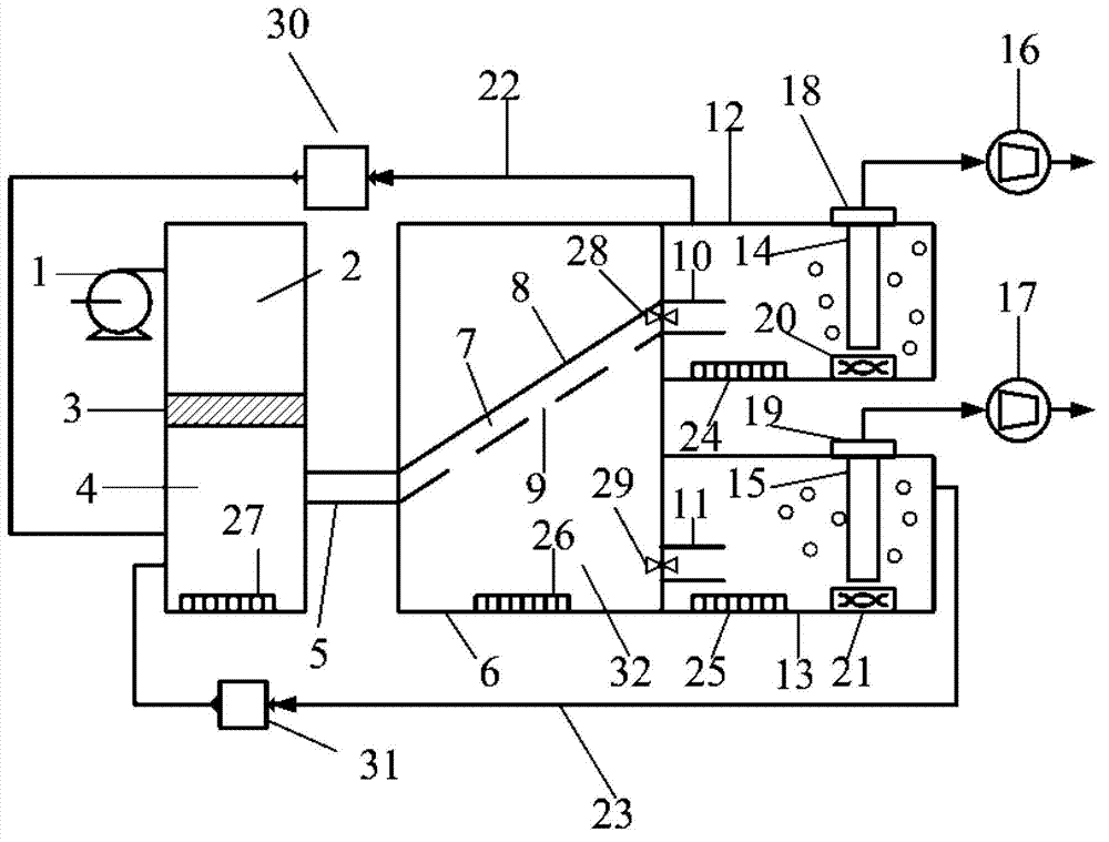 Food waste separating apparatus