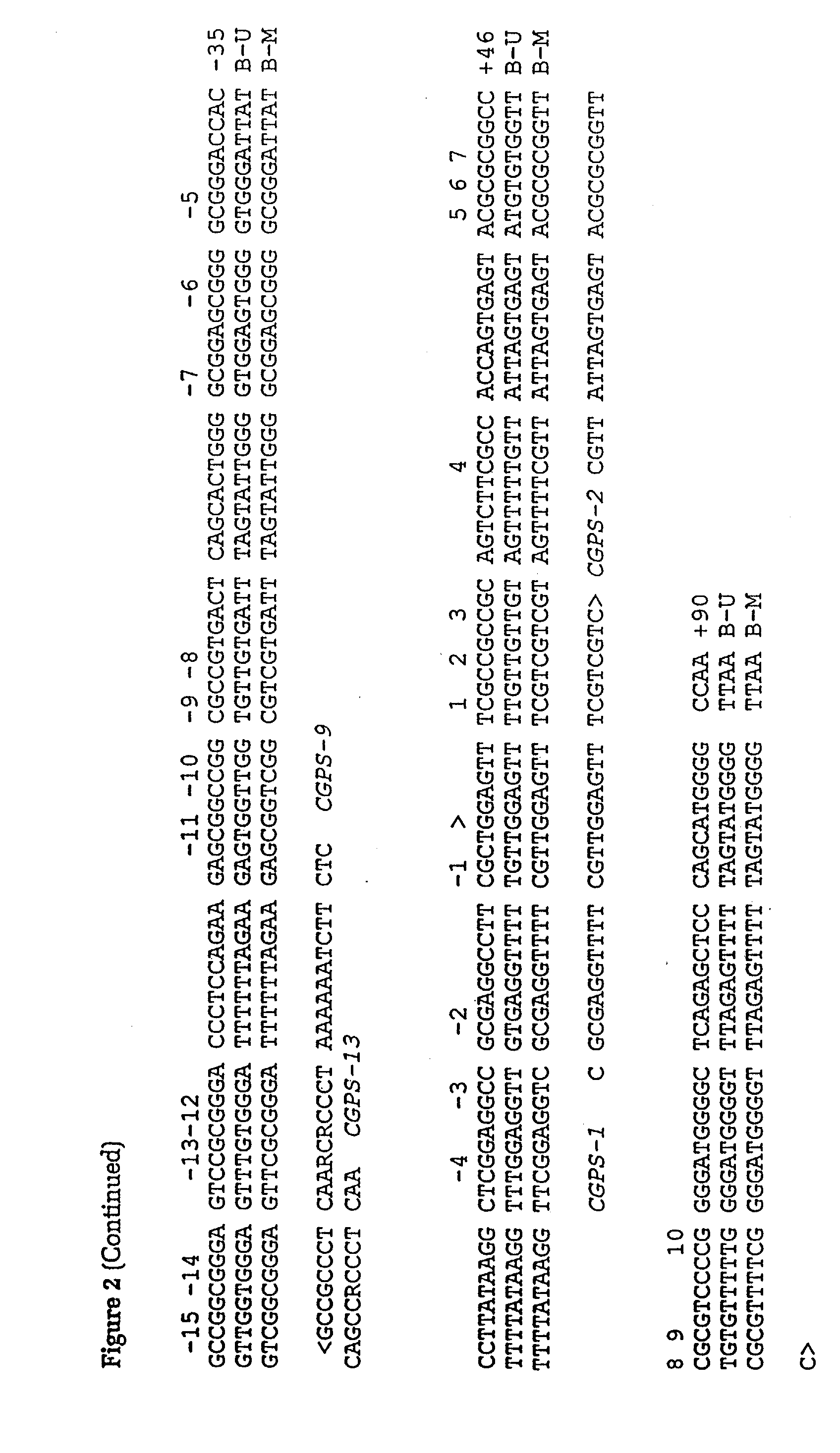 Assay for methylation in the GST-Pi gene