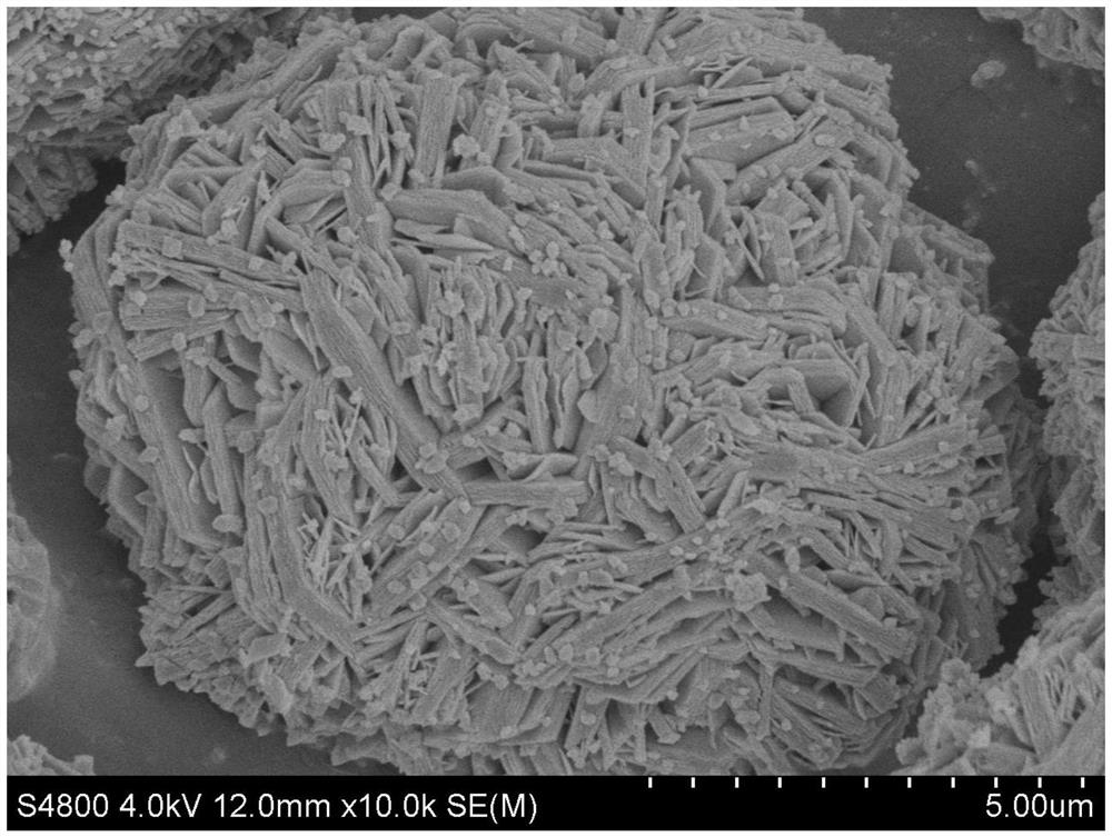 A kind of cathode material precursor and preparation method thereof, cathode material and lithium ion battery