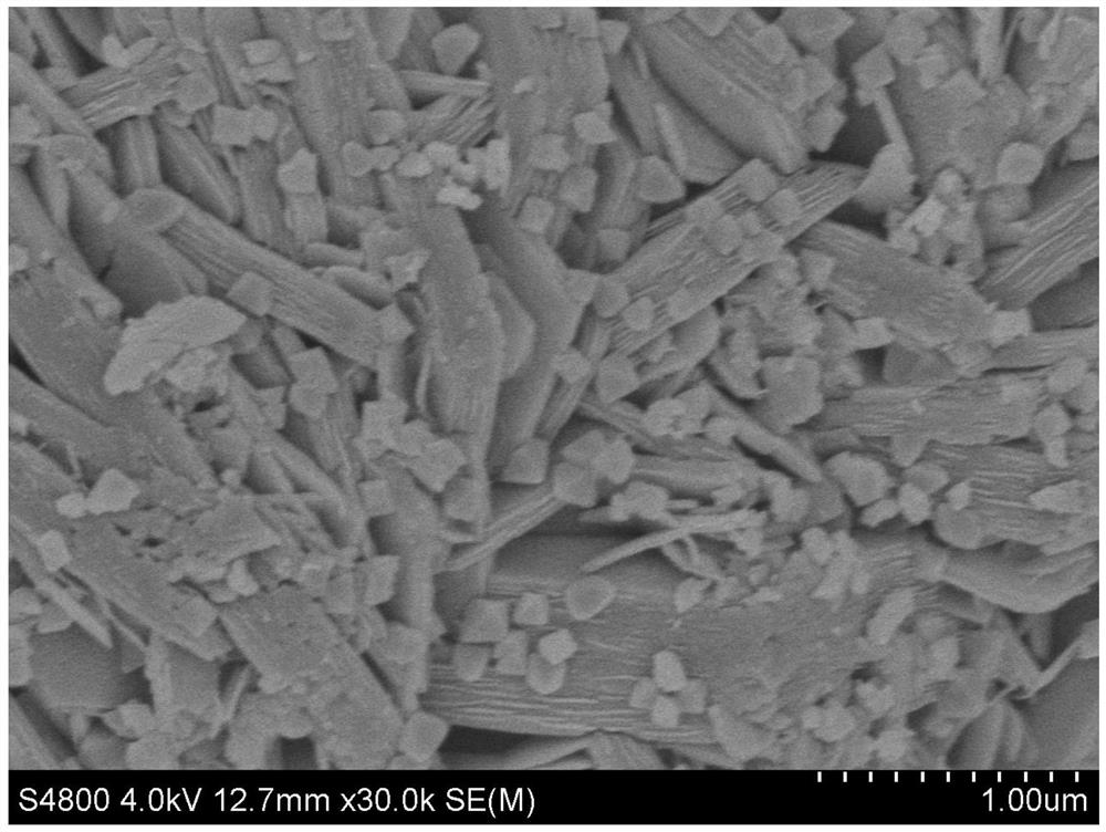 A kind of cathode material precursor and preparation method thereof, cathode material and lithium ion battery