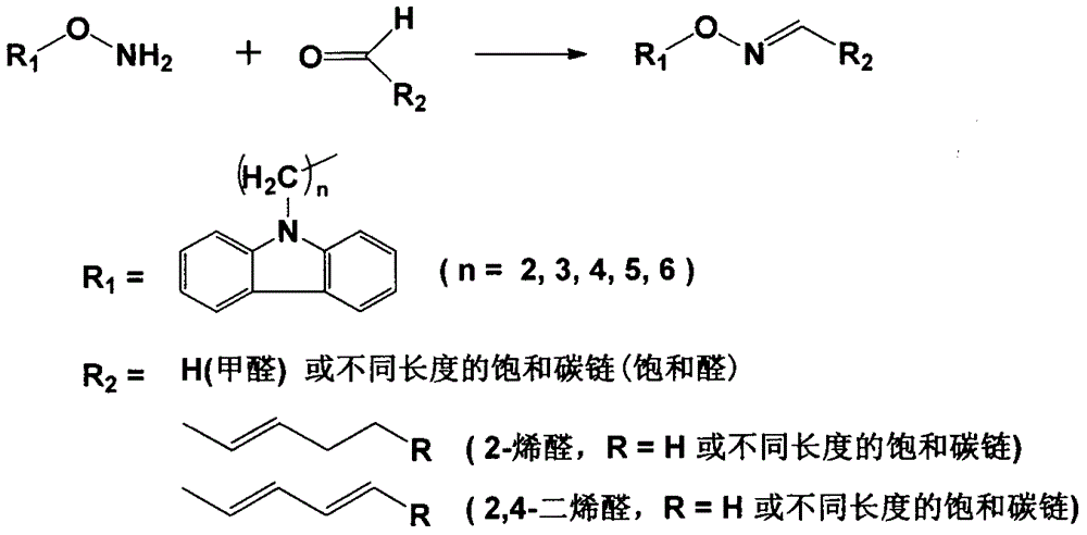 A preparing and purifying method for O-substituted hydroxylamine fluorescence derivatization reagents