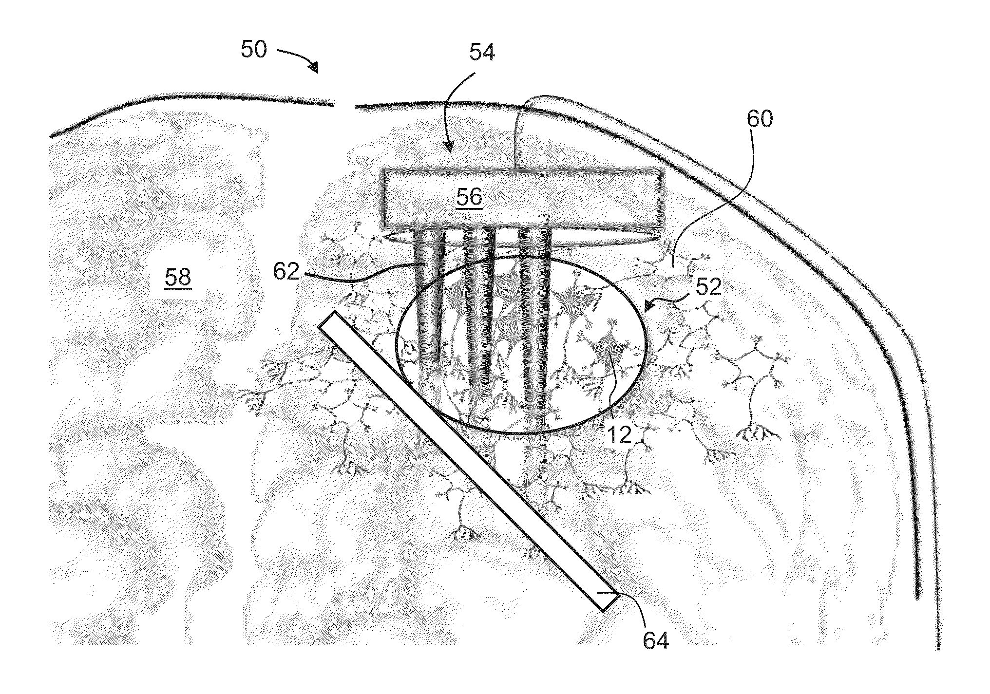 Optically sensitive cell network