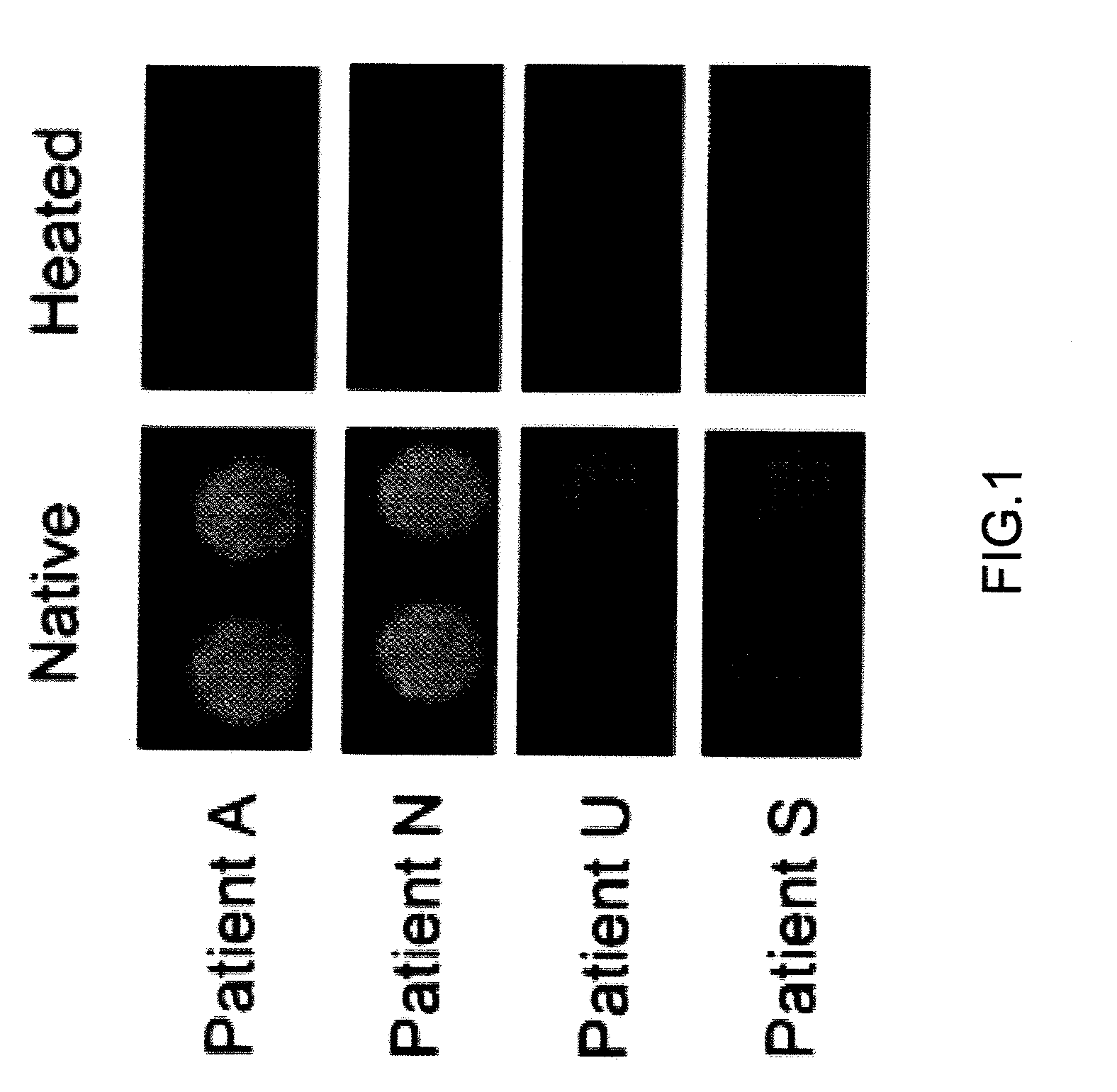 Soluble aggregate, immune tolerance inducer and manufacturing method thereof