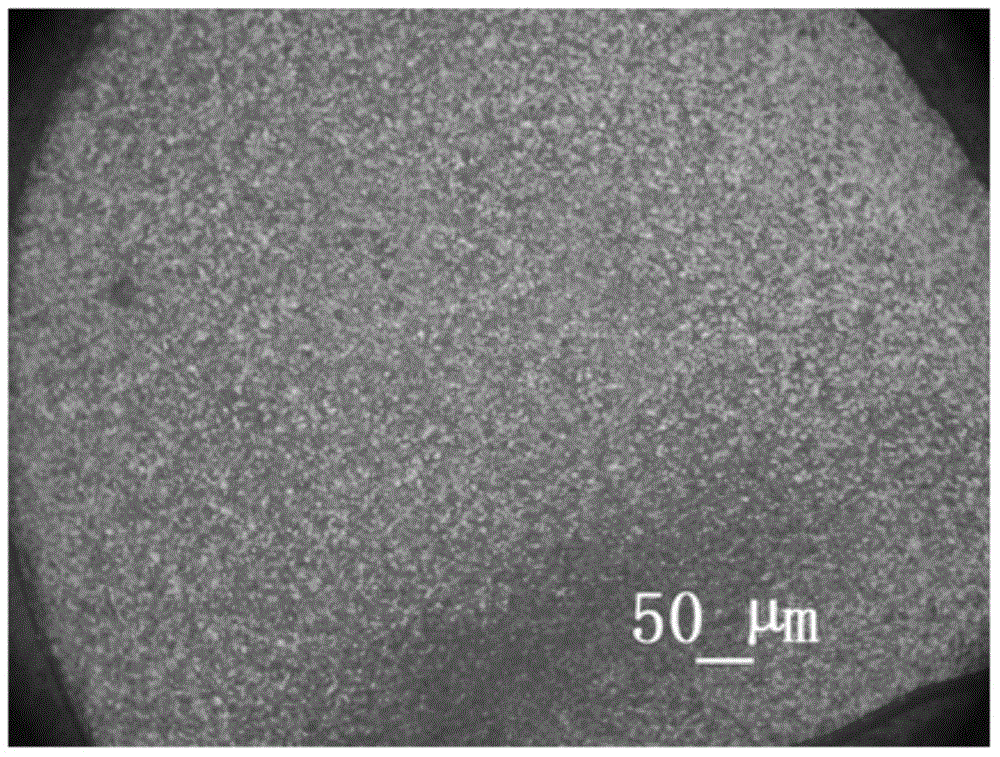 High-performance tin-phosphor bronze wire and production method thereof