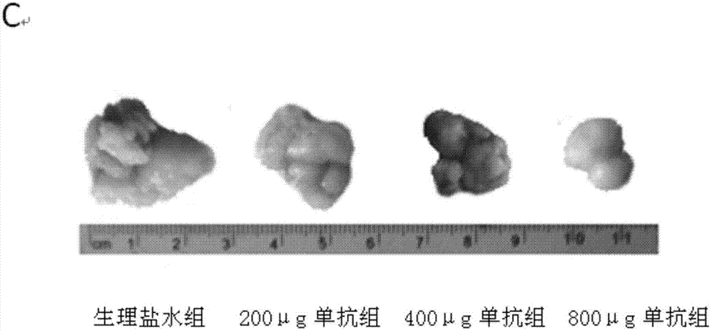 Anti-ovarian cancer monoclonal antibody and its application