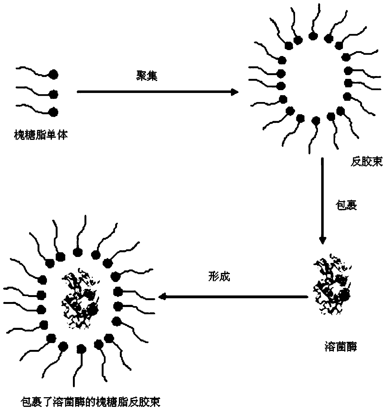 Bioactive composite antibacterial soap and preparation method thereof