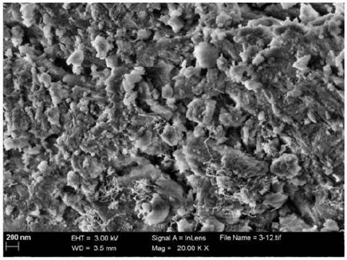 Dual-pore nickel based catalyst, preparation method thereof and application thereof in methanol carbon dioxide reforming reaction