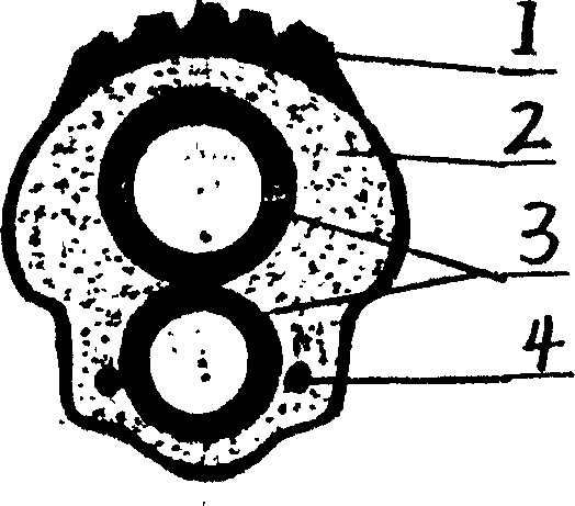 Environmental protection type aeration free polyurethane tyre