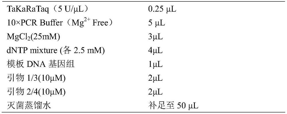 Short-chain dehydrogenase mutants and uses thereof