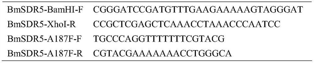 Short-chain dehydrogenase mutants and uses thereof