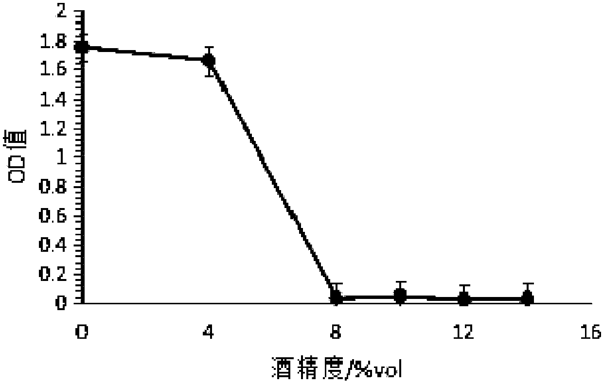 Baijiu and preparation method and application thereof