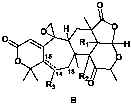 Meroterpenoid compound with liver protecting nourishing functions, and applications thereof