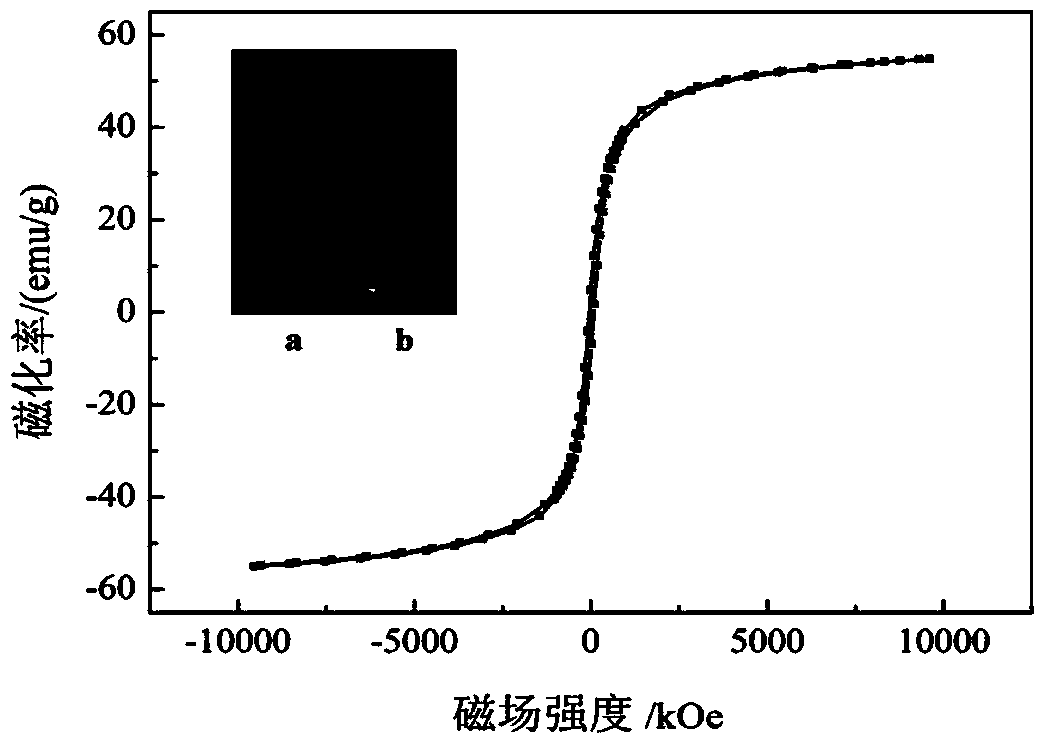 Method for preparing magnetic nano-composites and removing phenols pollutants in water