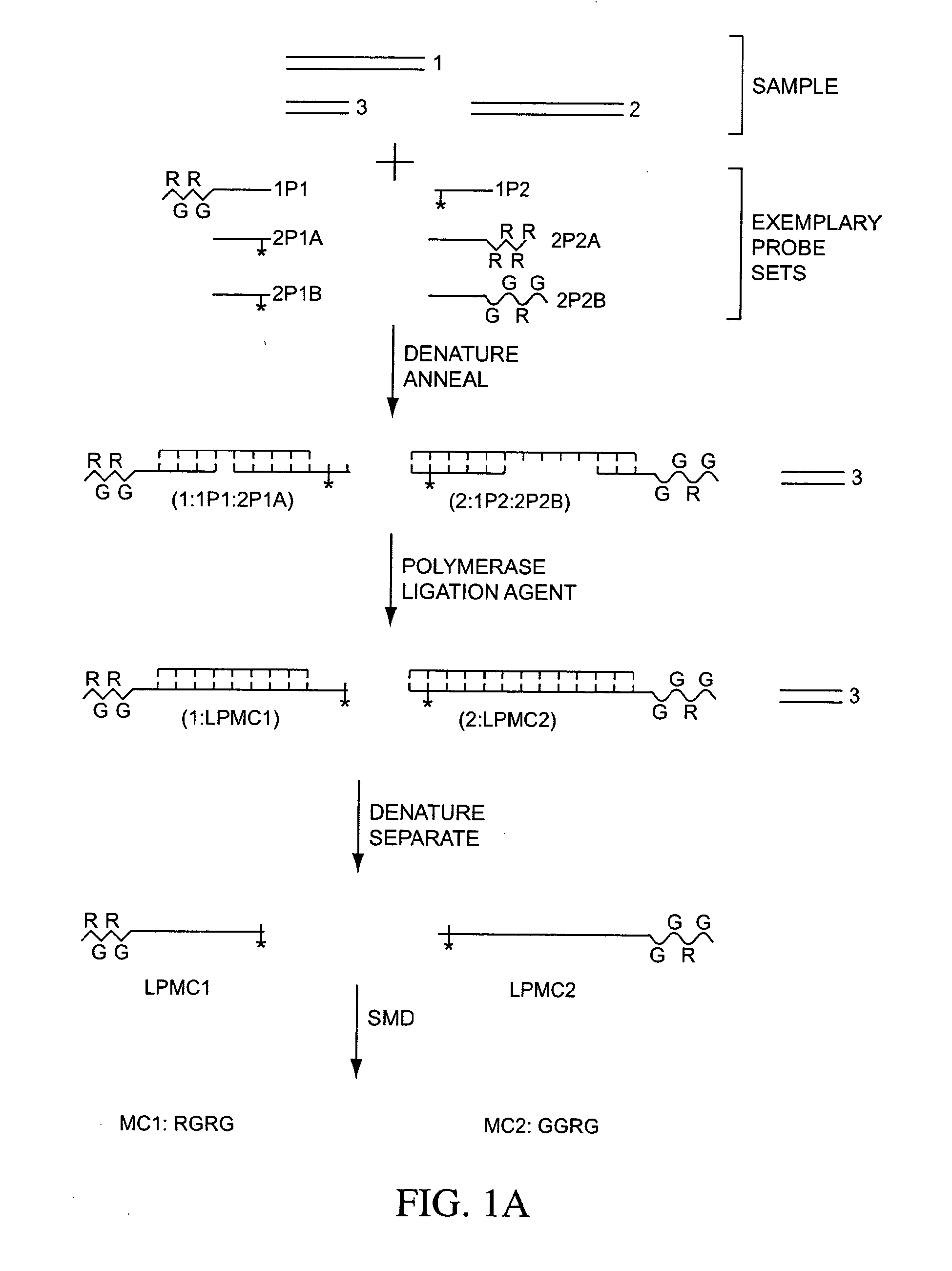 Compositions, methods, and kits for fabricating coded molecular tags