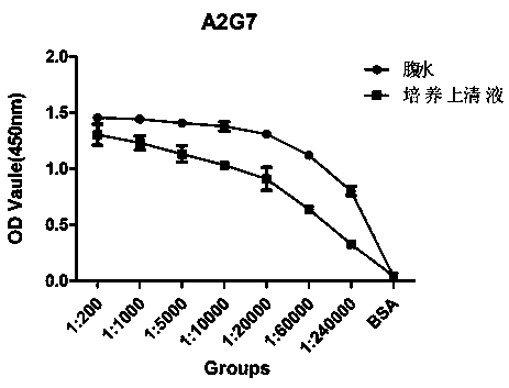 Anti-Ebola virus vp40 protein monoclonal antibody a2g7 and its application