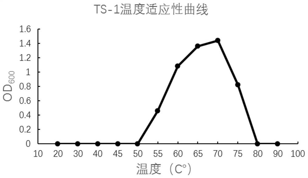 Geobacillus ts-1 and its application