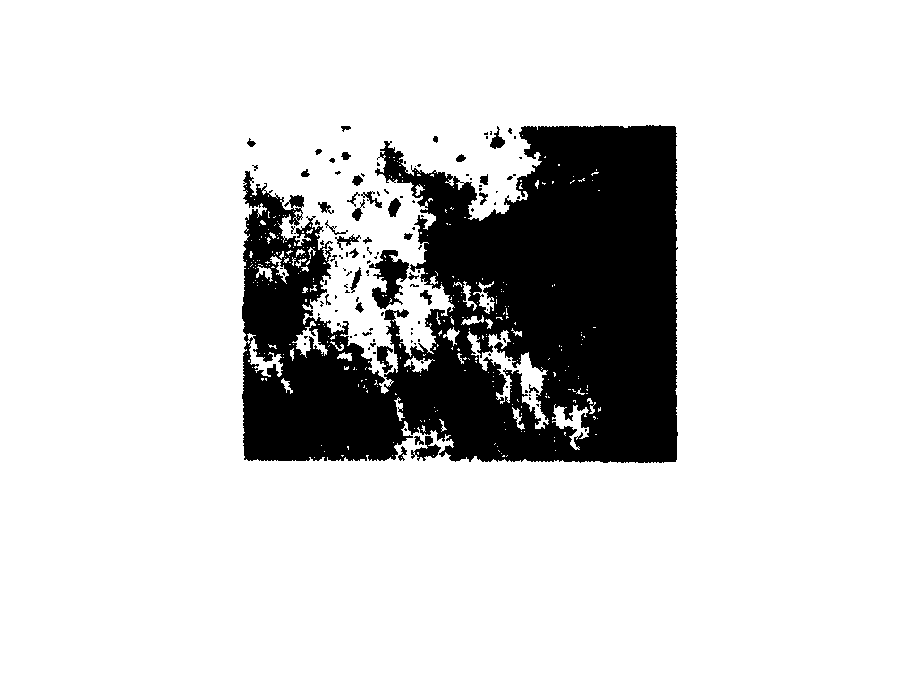 Process for preparing nano metal physically developing nucleus