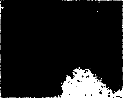 Process for preparing nano metal physically developing nucleus