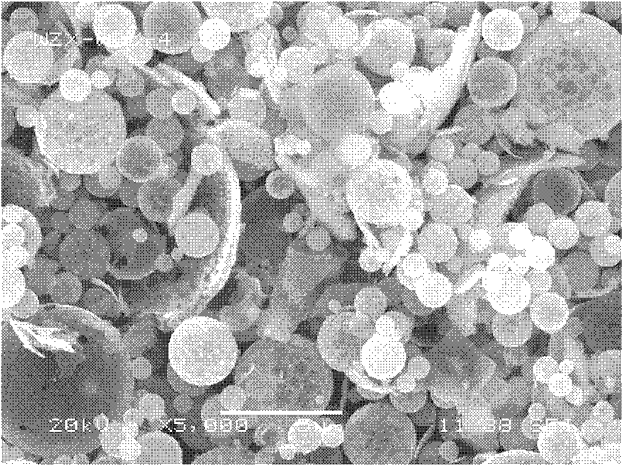 Method for preparing spherical lithium titanate from inorganic titanium sources