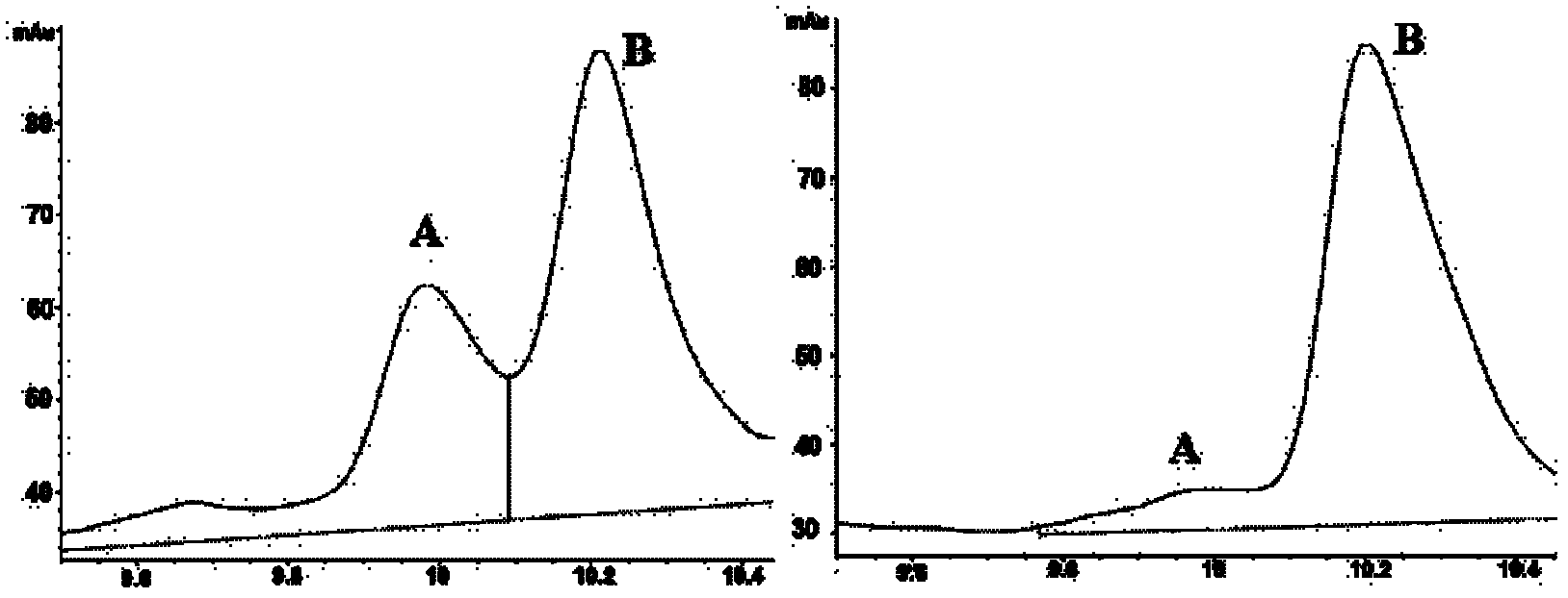 Escherichia coli overexpressing riml and its application in the preparation of n-acetylated thymosin α