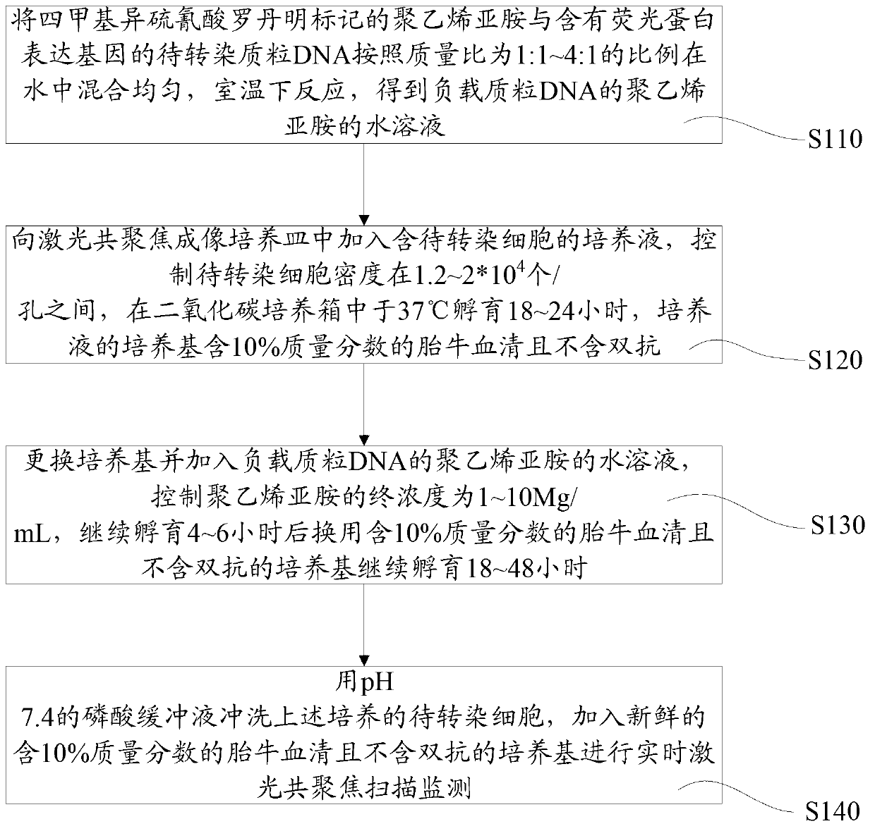 Method for real-time monitoring on gene transfection