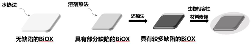 A kind of two-dimensional nanocomposite material, its preparation method and application