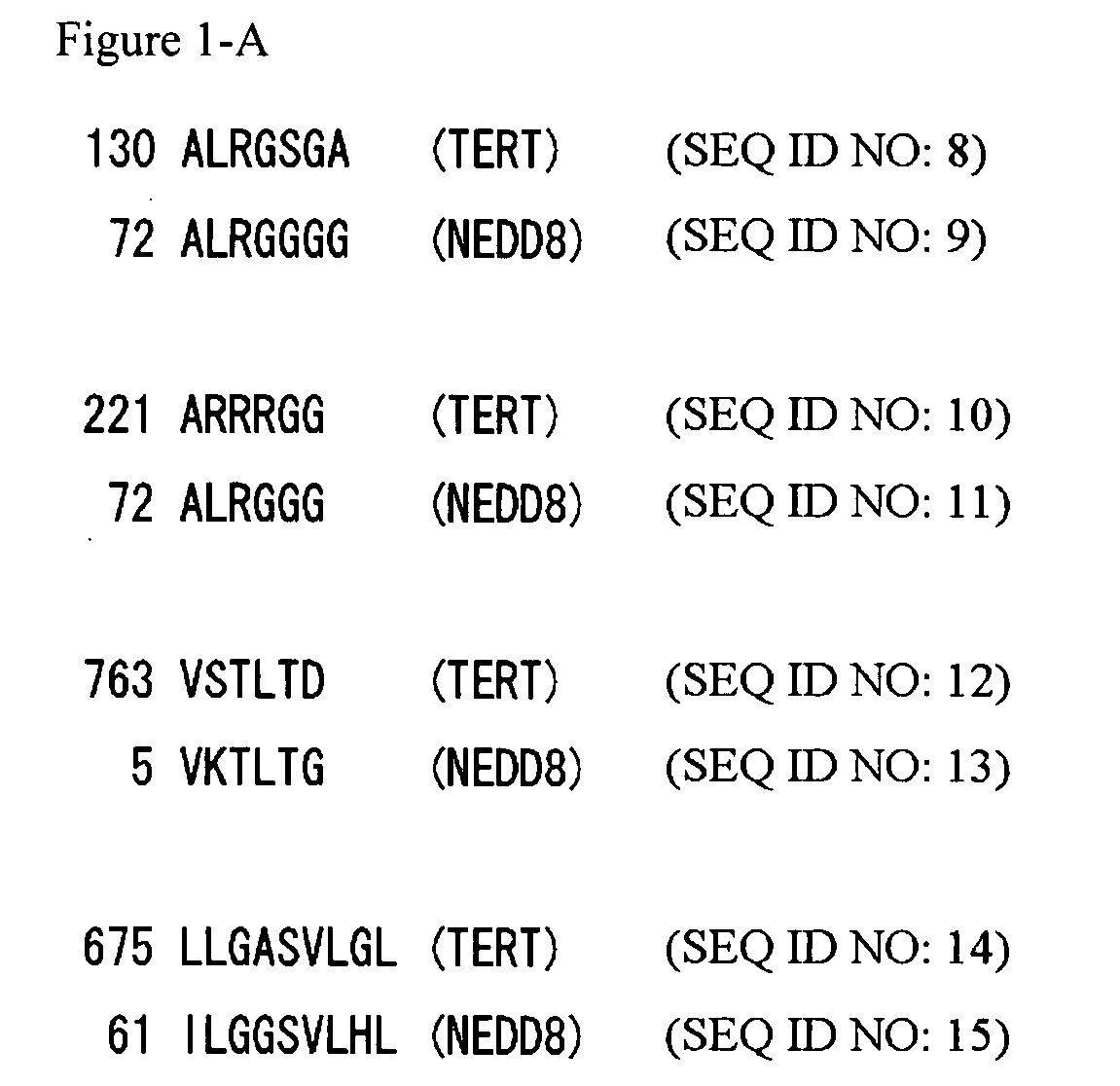 Method for Inhibiting Telomerase Activity and an Agent for Inhibiting the Same