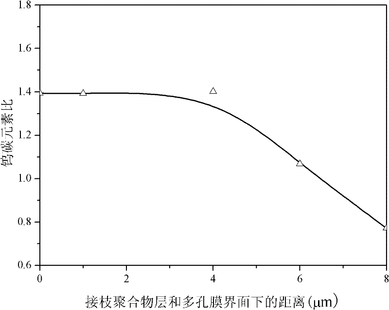 Composite membrane prepared by low-temperature plasma technology under normal pressure