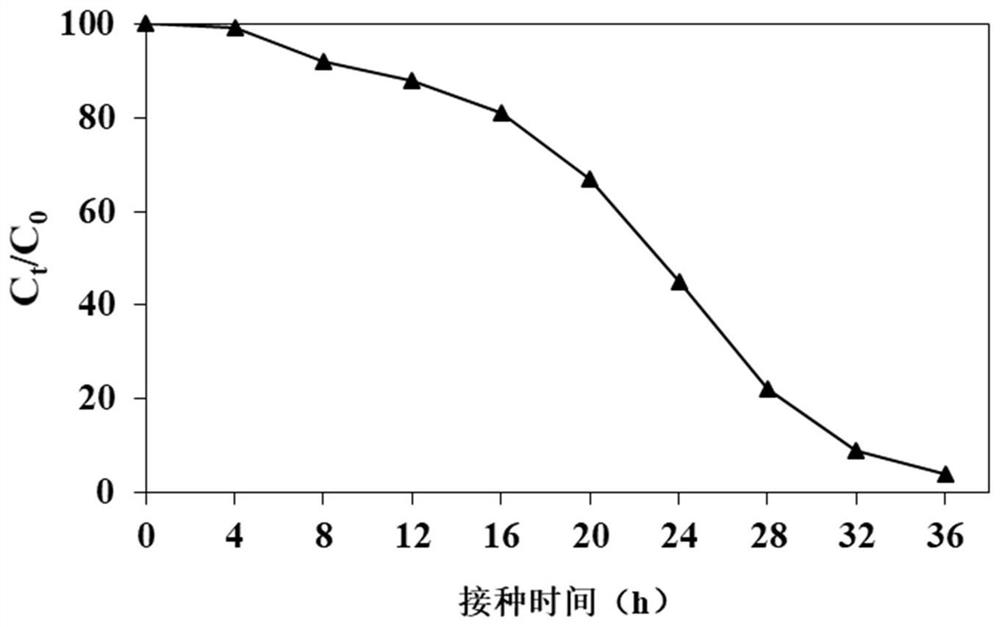 Achromobacter and application thereof in degradation of p-toluenesulfonic acid and quizalofop-p-ethyl