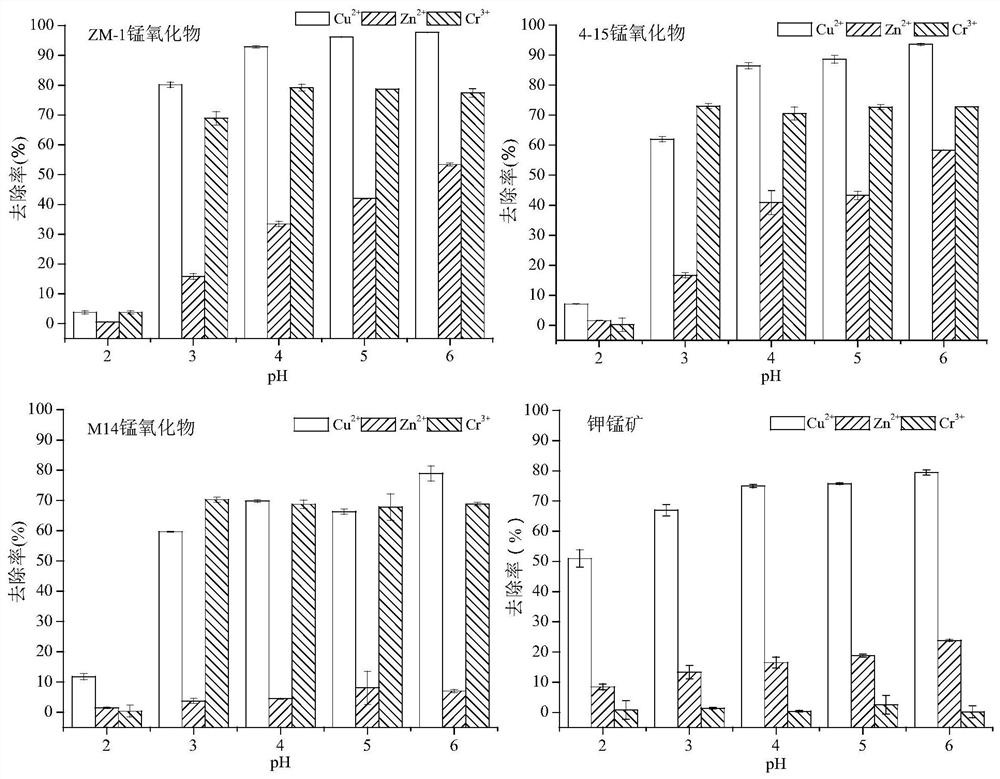 A kind of manganese oxidizing bacteria and its screening method and application