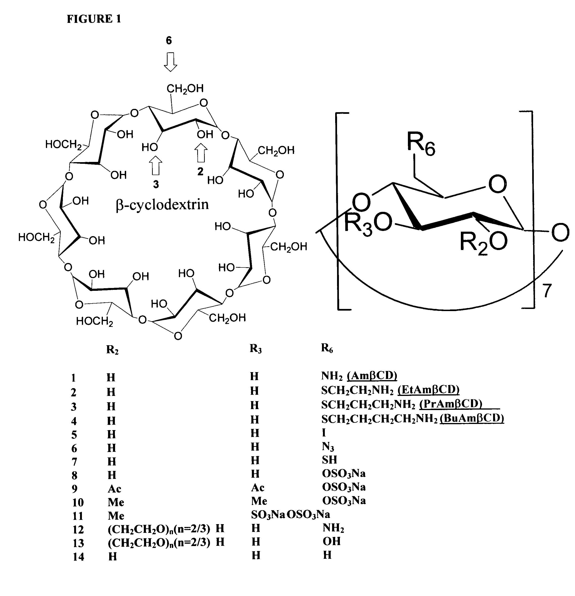 B-cyclodextrin derivatives and their use against anthrax lethal toxin