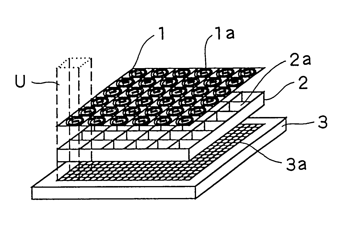 Image input apparatus