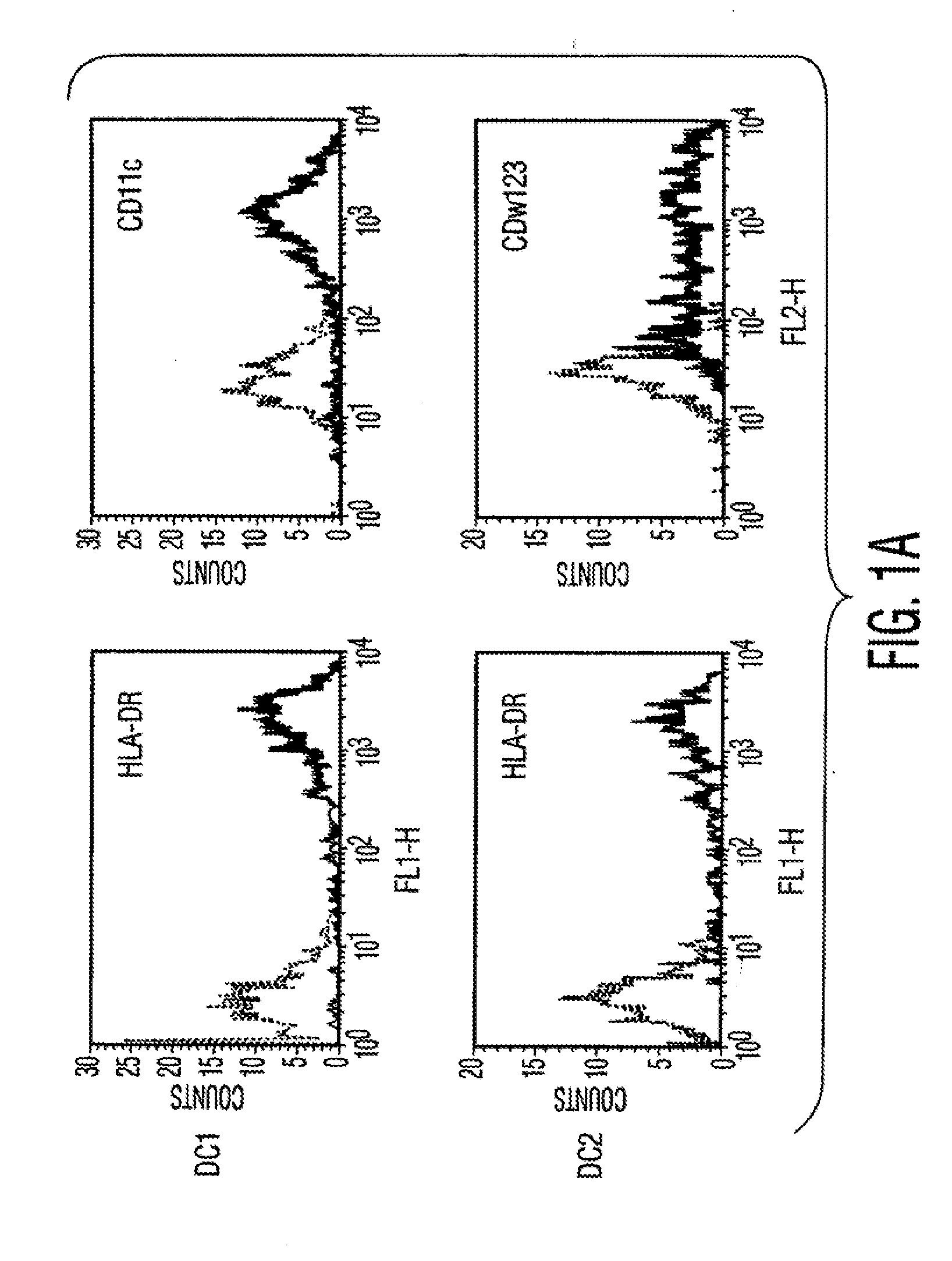 Multipotent Adult Stem Cells And Uses of Multipotent Adult Stem Cells To Treat Inflammation