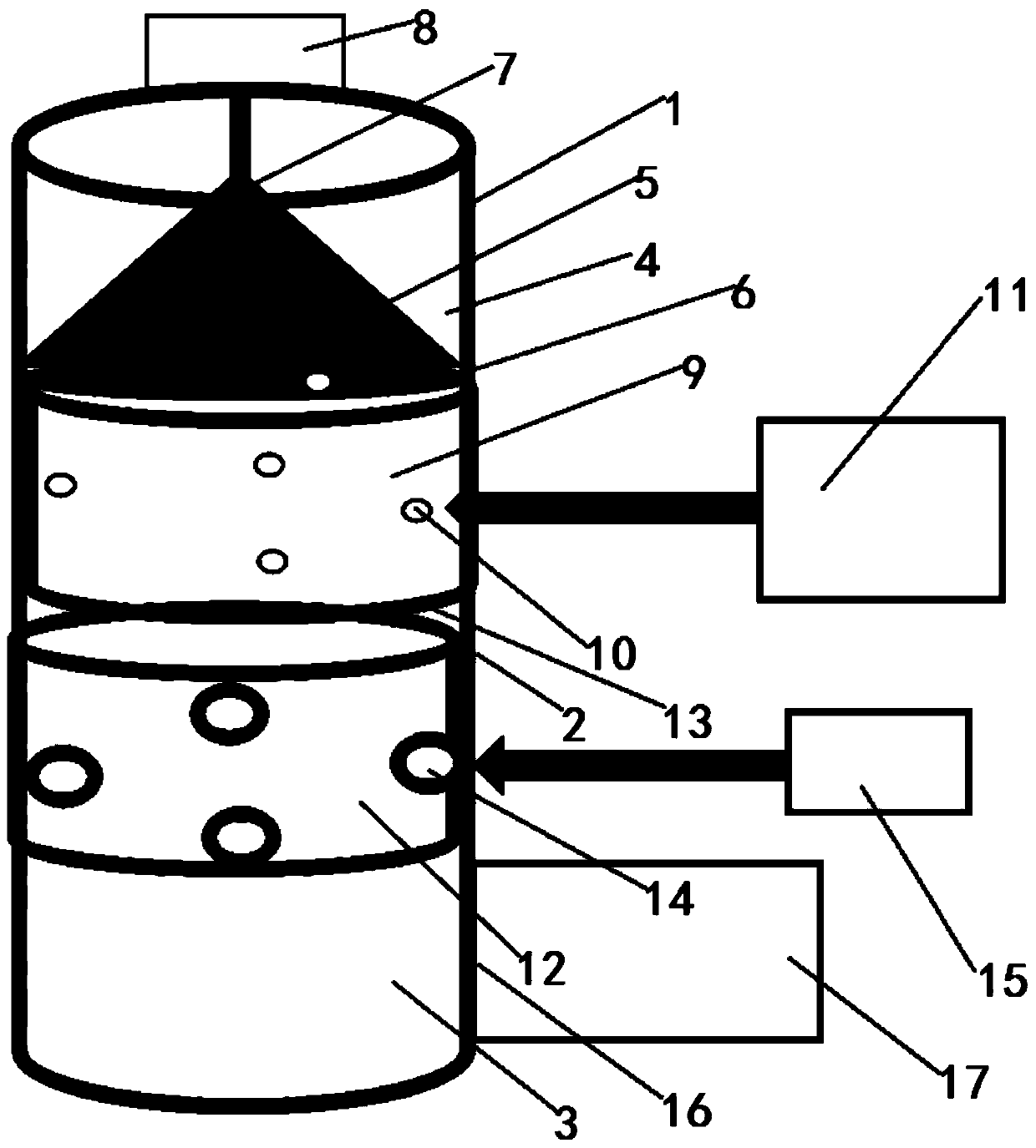 Establishment device and evaluation method for silicosis animal model