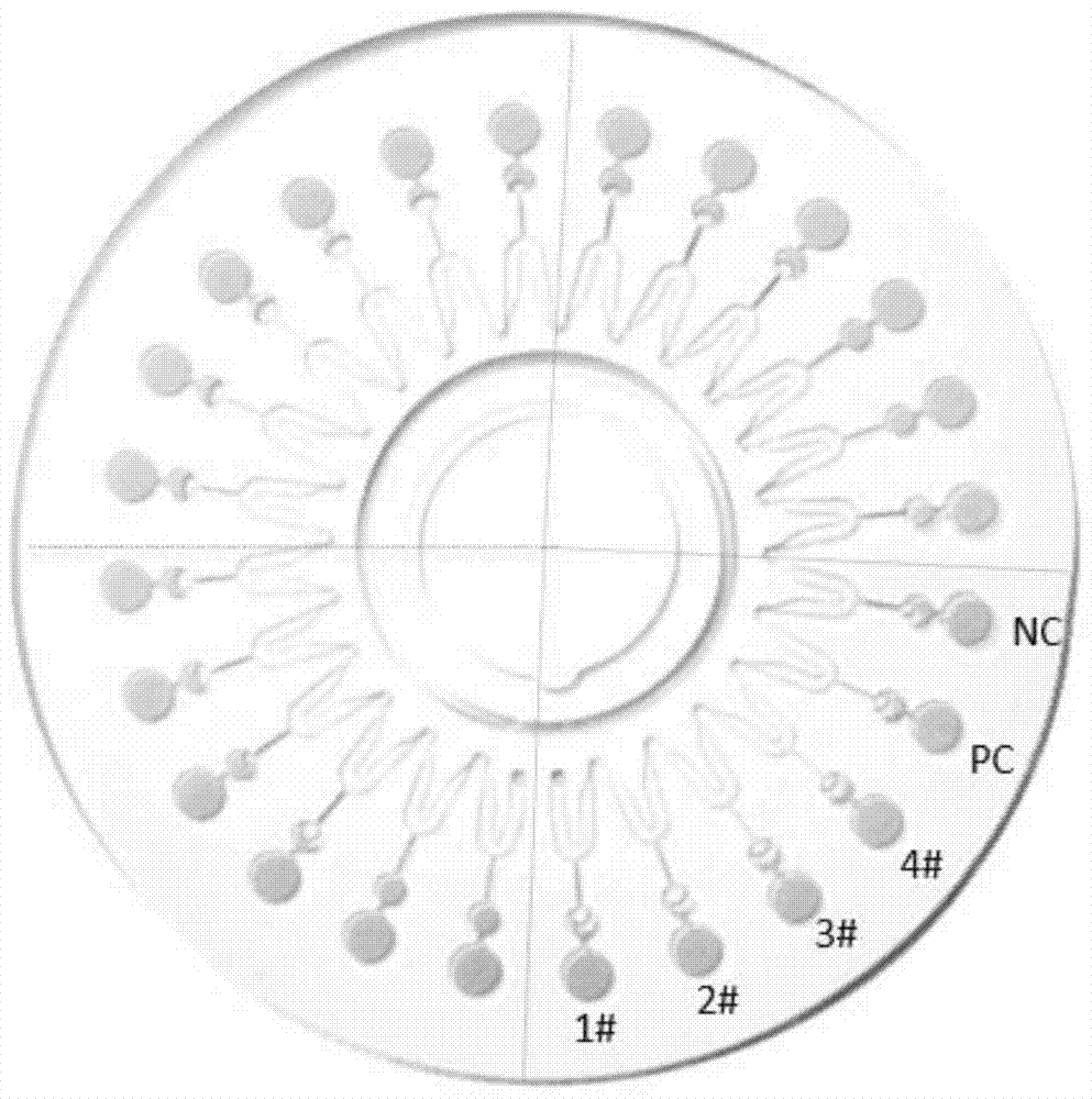 Kit for detecting respiratory virus and its application