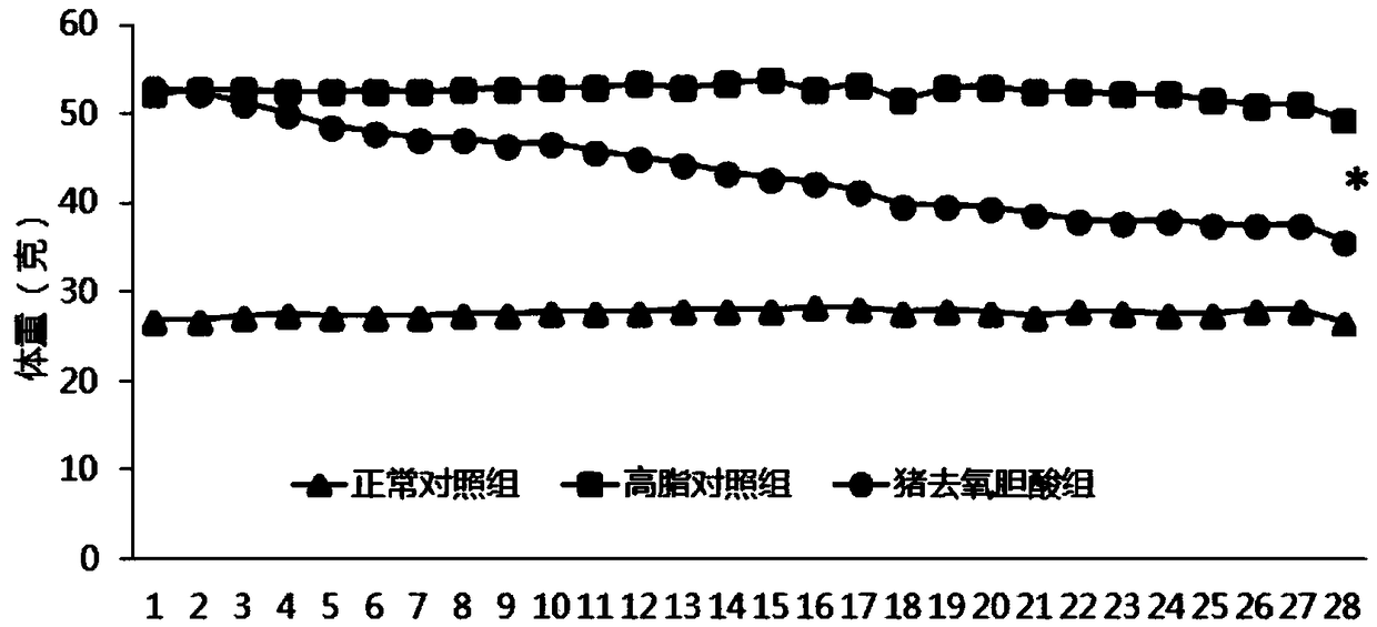 Application of hyodeoxycholic acid to preparation of medicines for losing weight and treating or preventing obesity complications