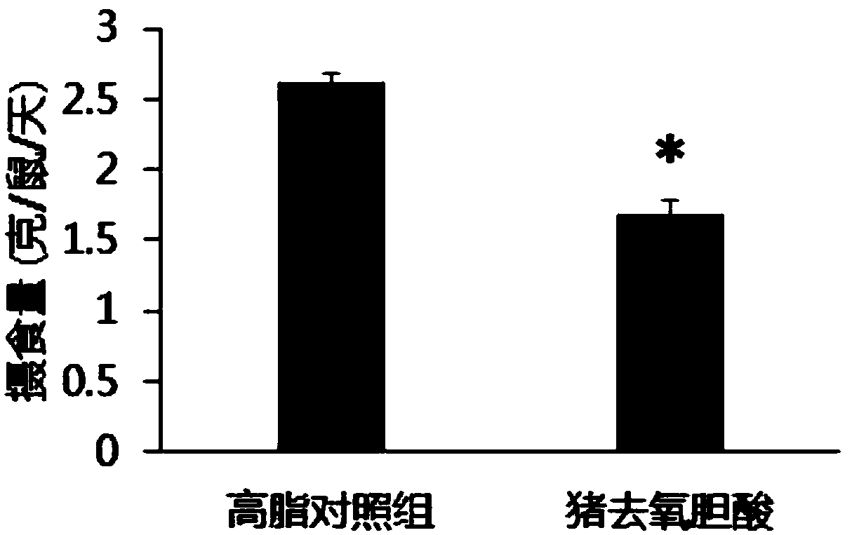 Application of hyodeoxycholic acid to preparation of medicines for losing weight and treating or preventing obesity complications