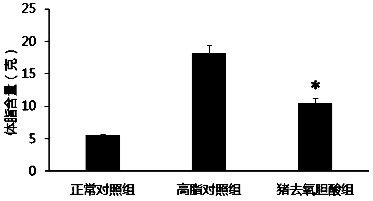 Application of hyodeoxycholic acid to preparation of medicines for losing weight and treating or preventing obesity complications