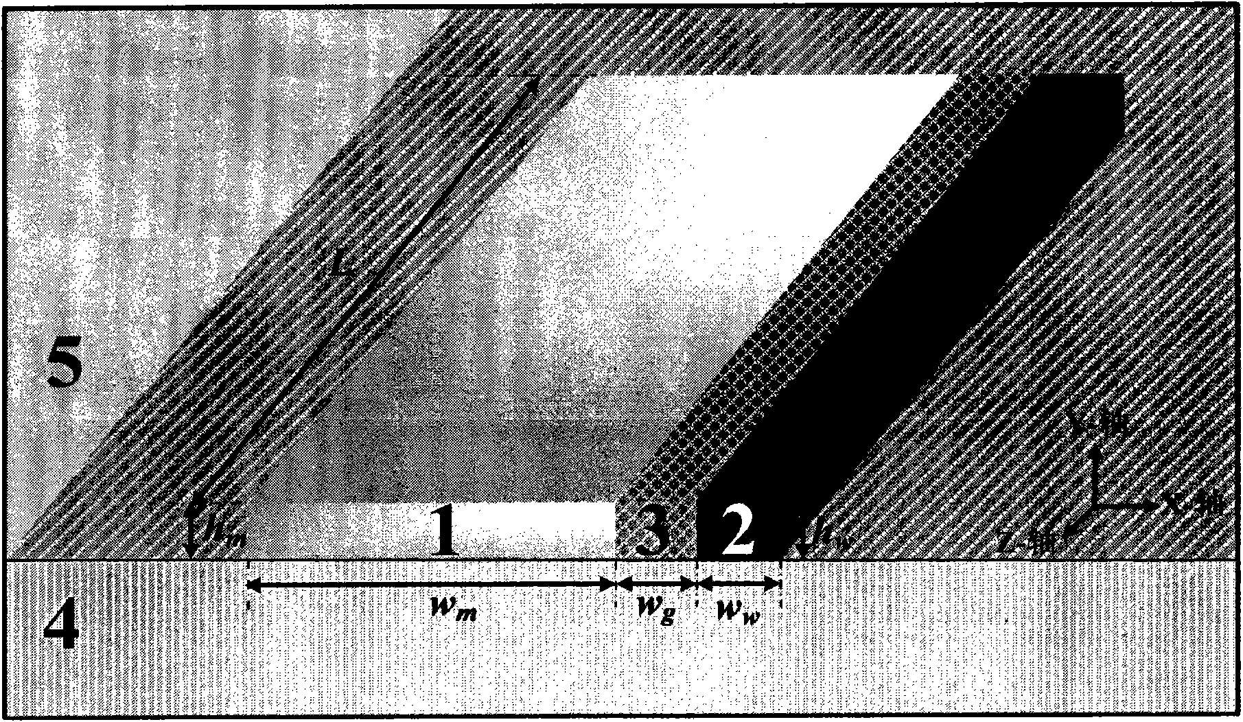 Surface plasma nanometer laser