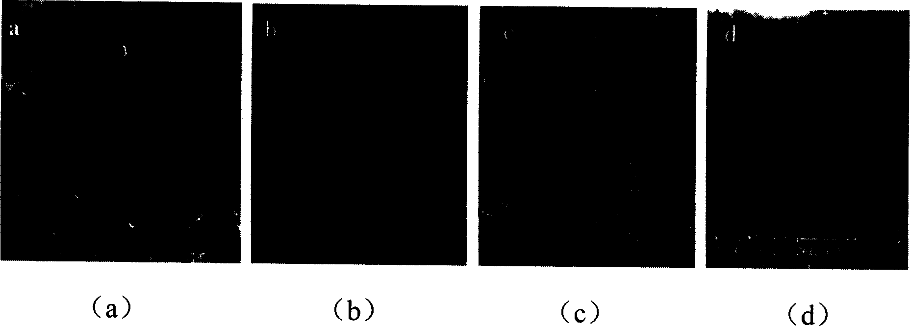 Nano coating process for metal surface